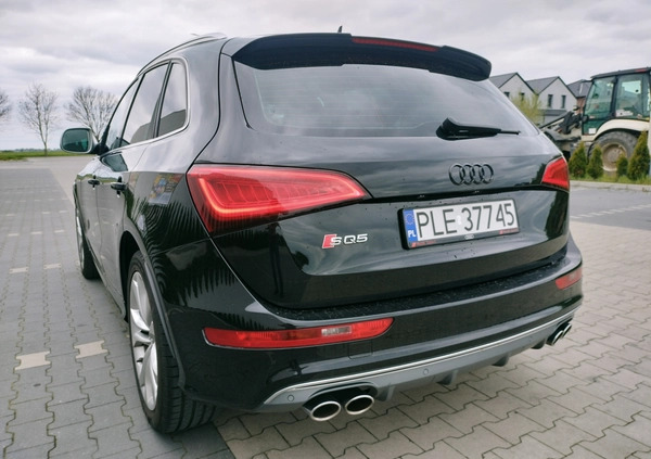 Audi SQ5 cena 92500 przebieg: 192000, rok produkcji 2014 z Drzewica małe 301